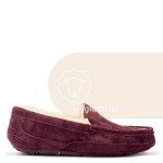 UGG Moccasins Ascot For Men Chocolate
